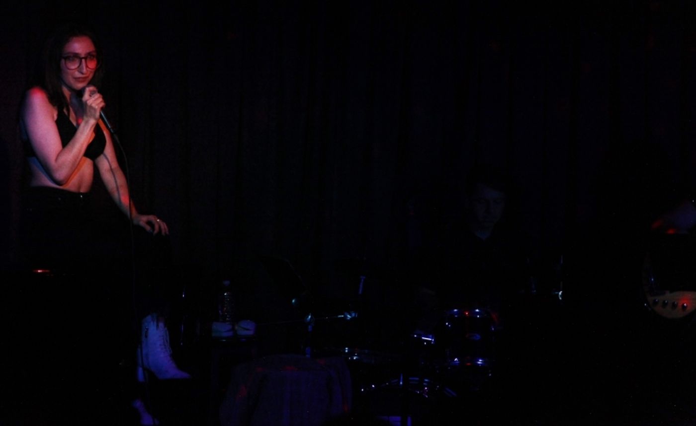 Review: ALEXIS MOLNAR SINGS THE FIONA APPLE SONGBOOK Transcends Barriers at Don't Tell Mama  Image