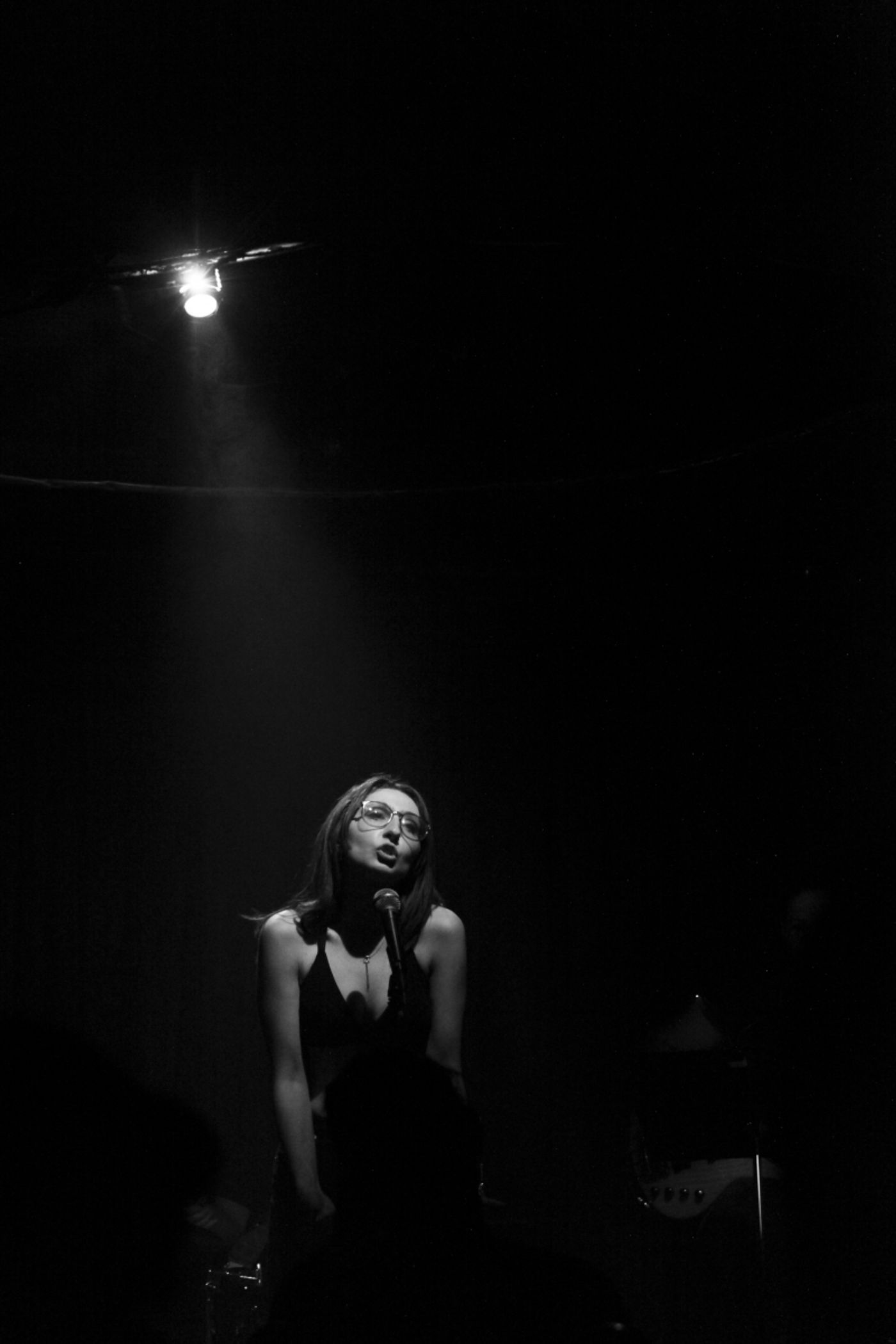 Review: ALEXIS MOLNAR SINGS THE FIONA APPLE SONGBOOK Transcends Barriers at Don't Tell Mama  Image