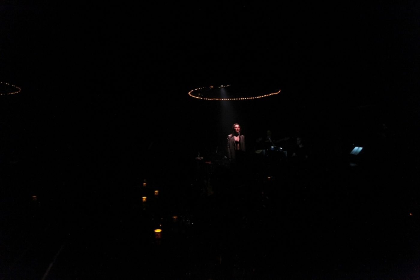 Review: ALEXIS MOLNAR SINGS THE FIONA APPLE SONGBOOK Transcends Barriers at Don't Tell Mama  Image