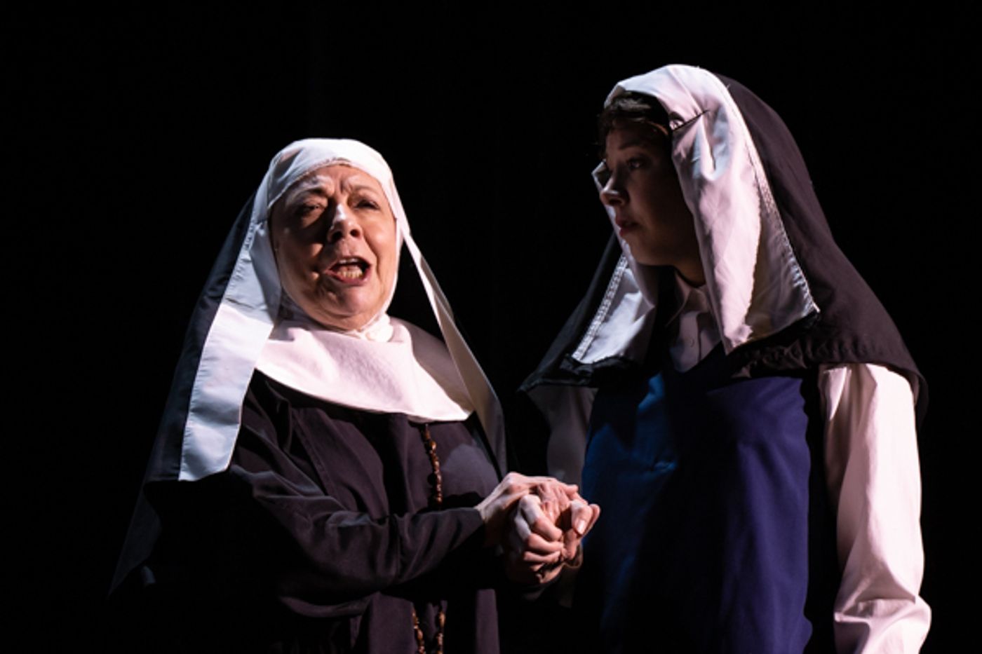 Photos: First look at MTVarts' THE SOUND OF MUSIC  Image