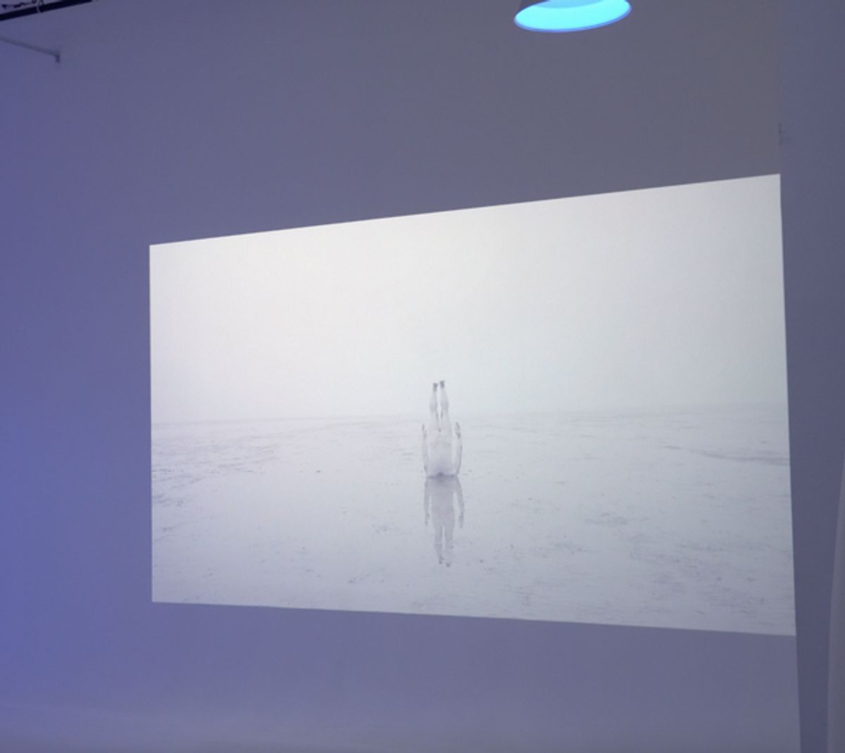 Screening of Lightbearer at Photos: Ziel Dance & Film Festival Presents REFRACTIONS