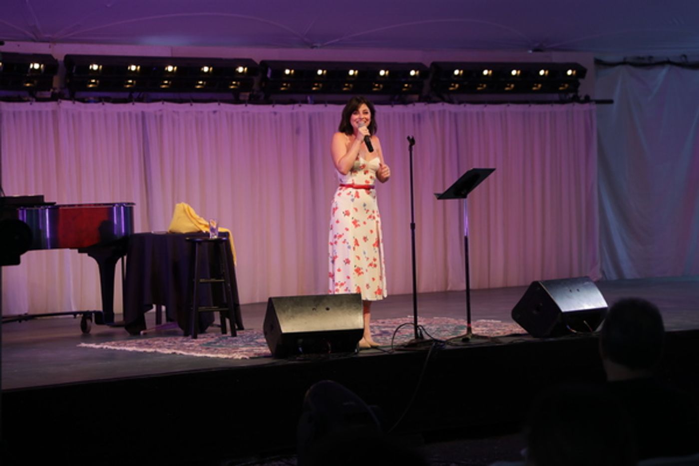 Photos: See Krysta Rodriguez in Concert at Berkshire Theatre Group  Image