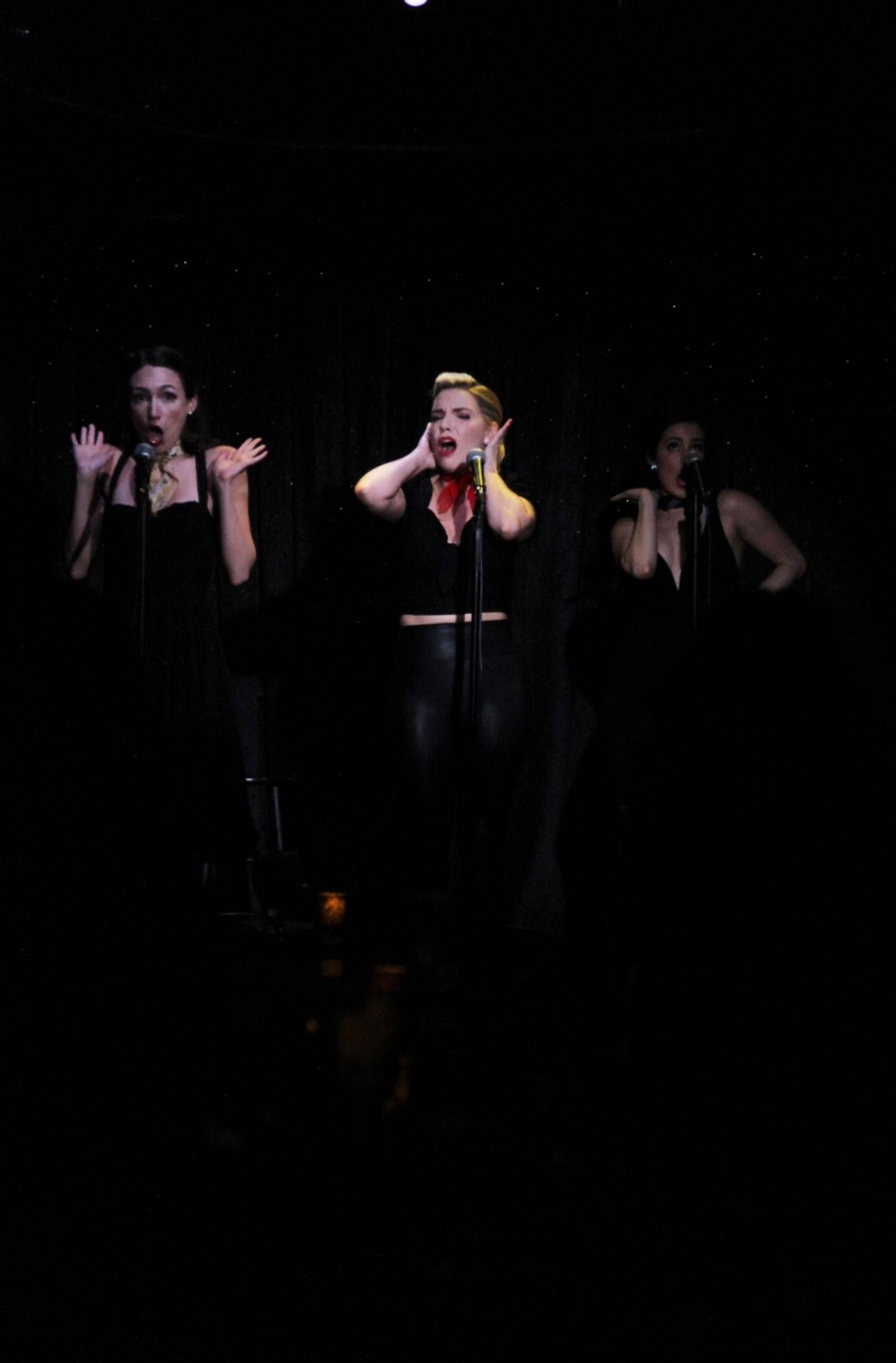 Review: THE RANDY ANDYS Present More Than Great Music At Don't Tell Mama  Image