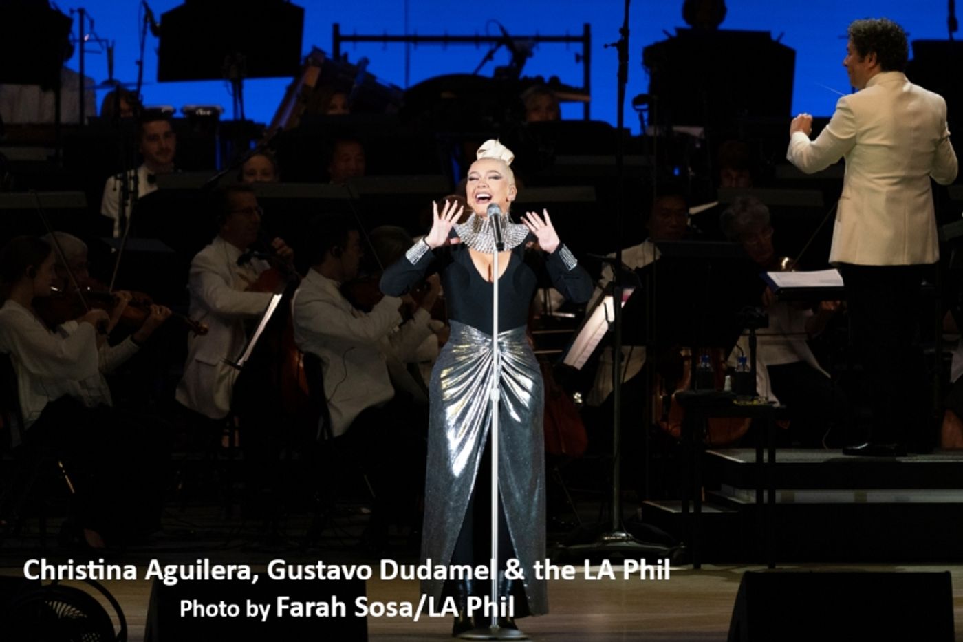 Review: Christina Aguilera Hits It Out Of Bowl With The LA Phil  Image