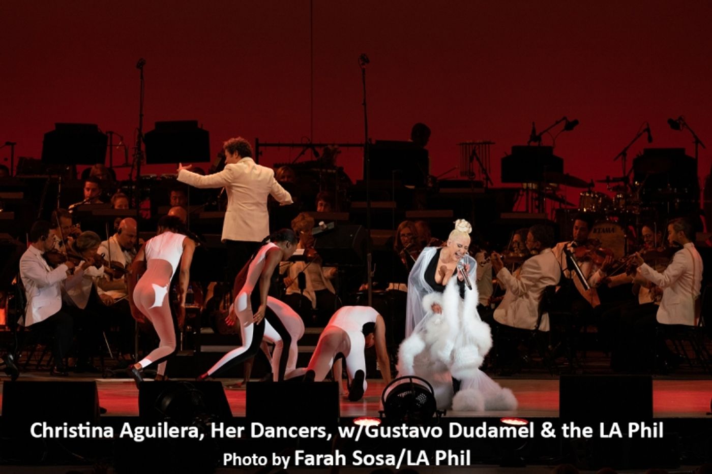 Review: Christina Aguilera Hits It Out Of Bowl With The LA Phil  Image