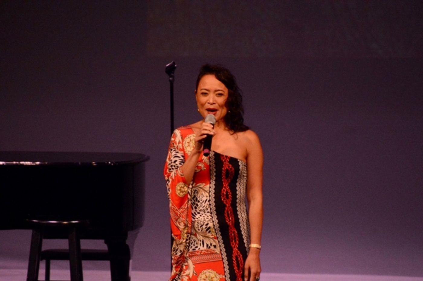 Photos: BROADWAY DIVAFEST At Tilles Center  Image