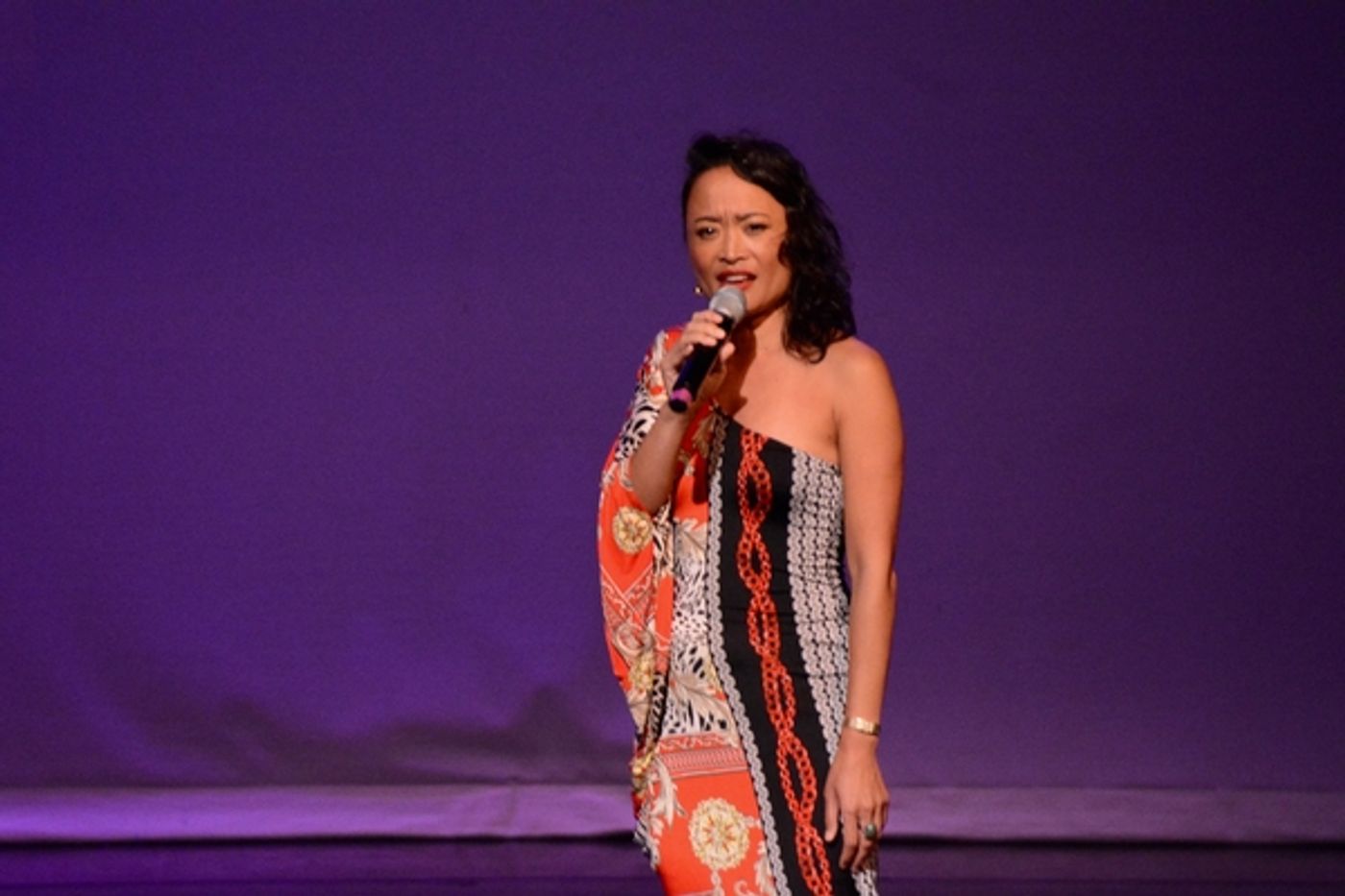 Photos: BROADWAY DIVAFEST At Tilles Center  Image