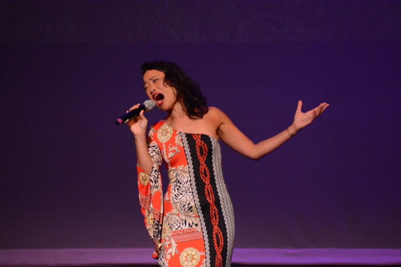 Photos: BROADWAY DIVAFEST At Tilles Center  Image