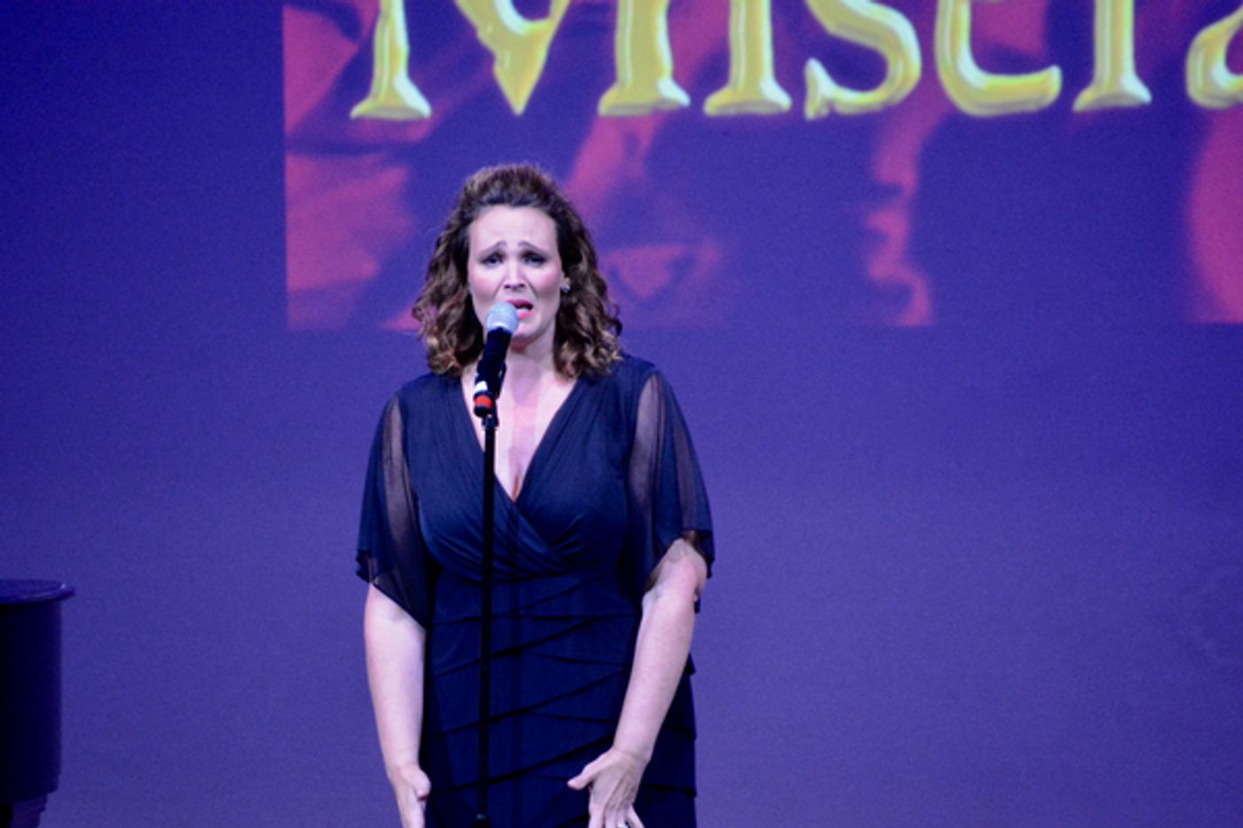 Photos: BROADWAY DIVAFEST At Tilles Center  Image