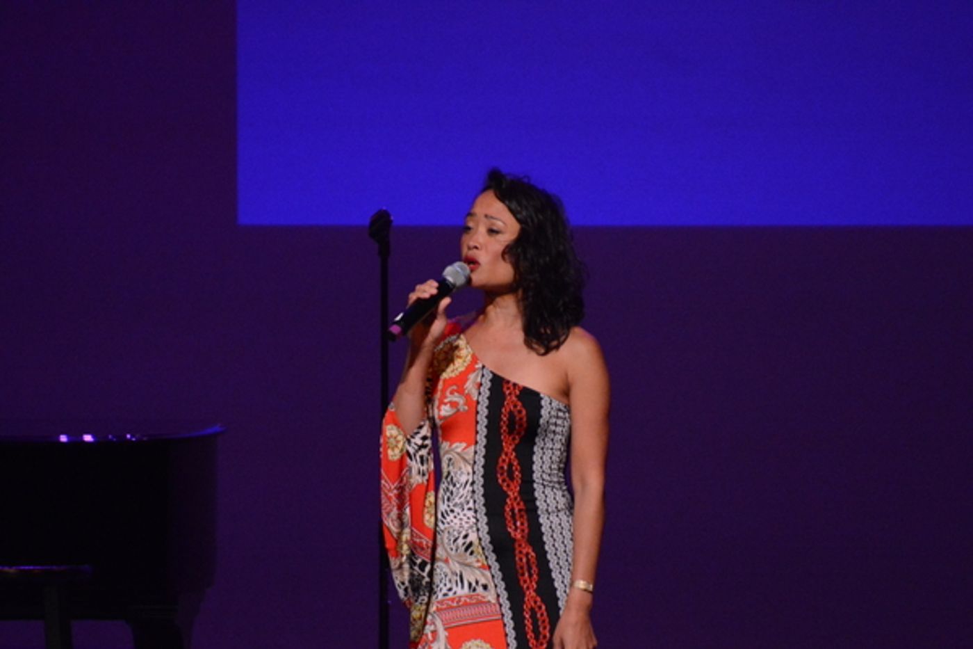 Photos: BROADWAY DIVAFEST At Tilles Center  Image