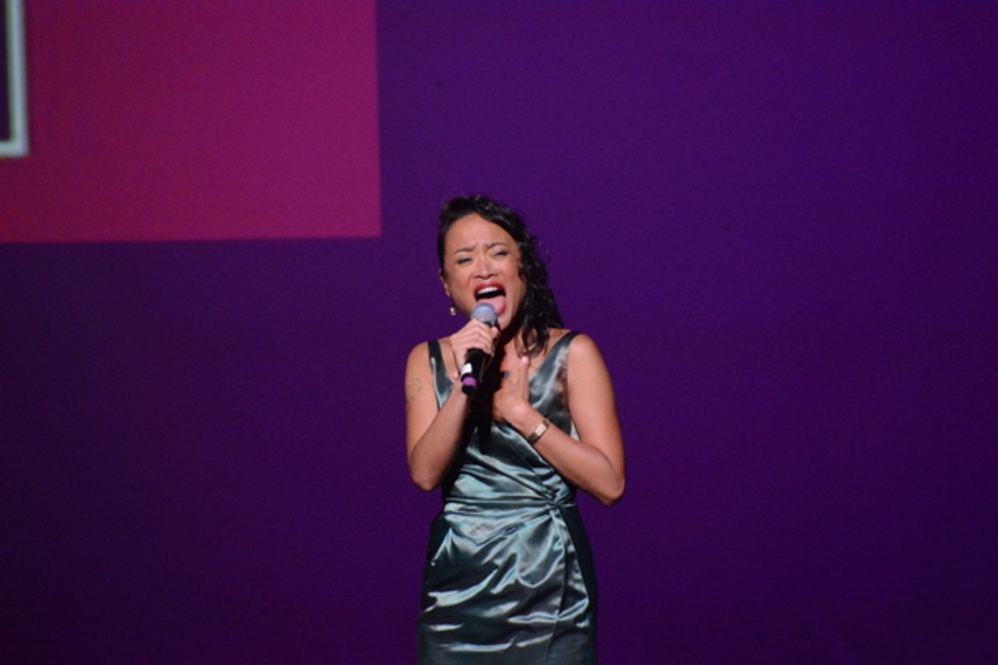 Photos: BROADWAY DIVAFEST At Tilles Center  Image