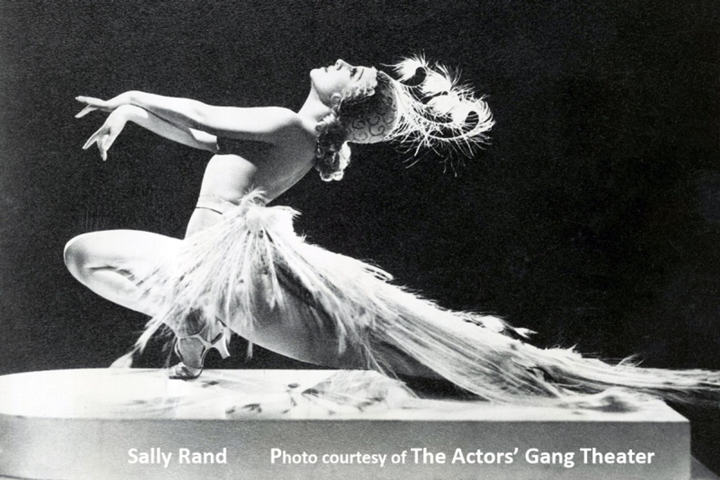 Interview: Patti Tippo LIV-ing ON With Sally Rand's & Her Own Life  Image