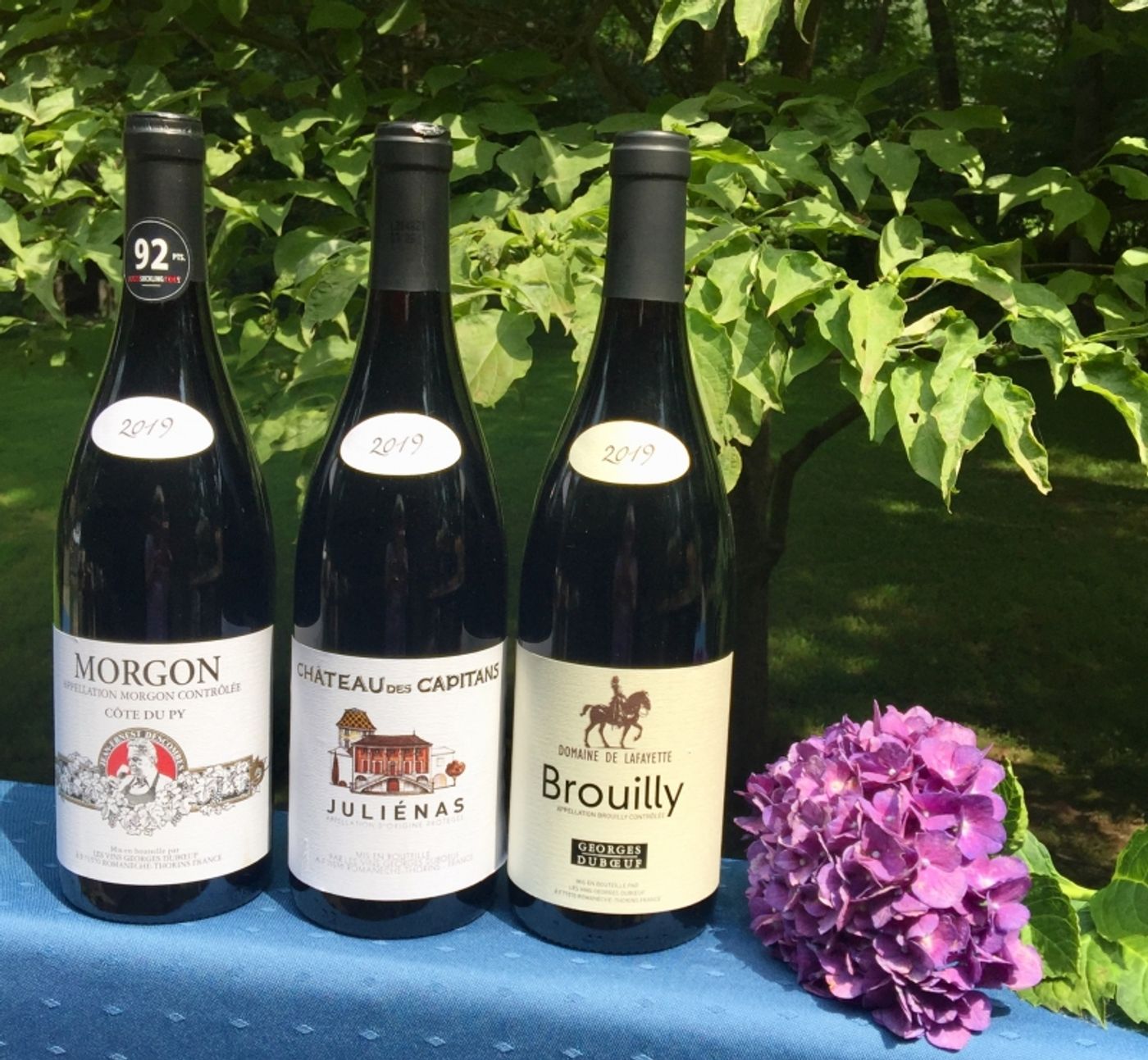 LES VINS GEORGES DUBOEUF and the Pride of Beaujolais LES VINS GEORGES DUBOEUF and the Pride of Beaujolais Image