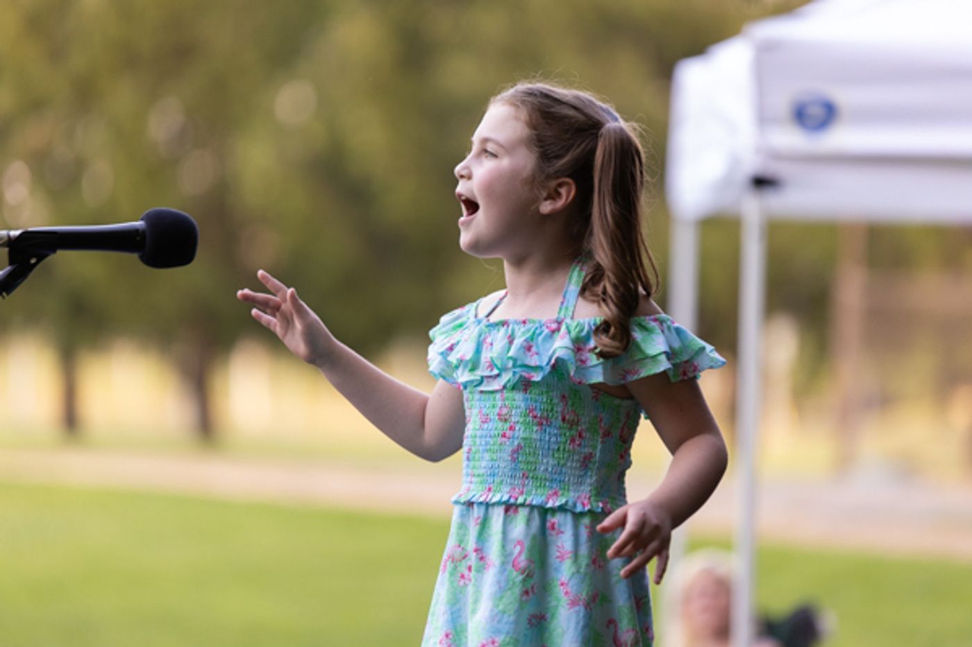 Photos: Inside Pickerington Community Theatre's AN EVENING OUT WITH PCT  Image