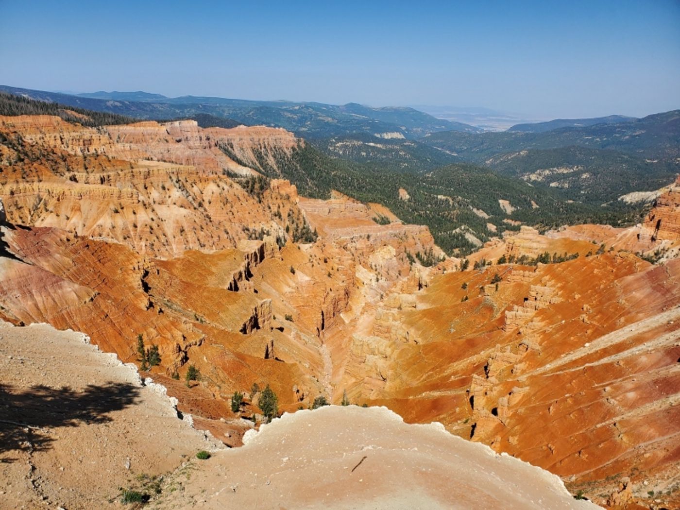 Student Blog: A Change in Scenery  Image