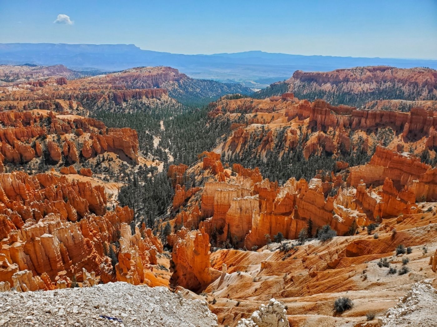 Student Blog: A Change in Scenery  Image