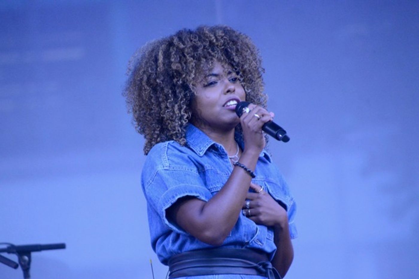 Photos: Adrienne Warren and Friends Perform as Part of Bryant Park's Picnic Performances  Image