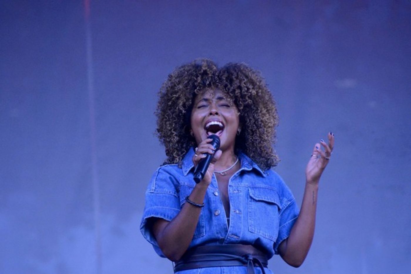 Photos: Adrienne Warren and Friends Perform as Part of Bryant Park's Picnic Performances  Image