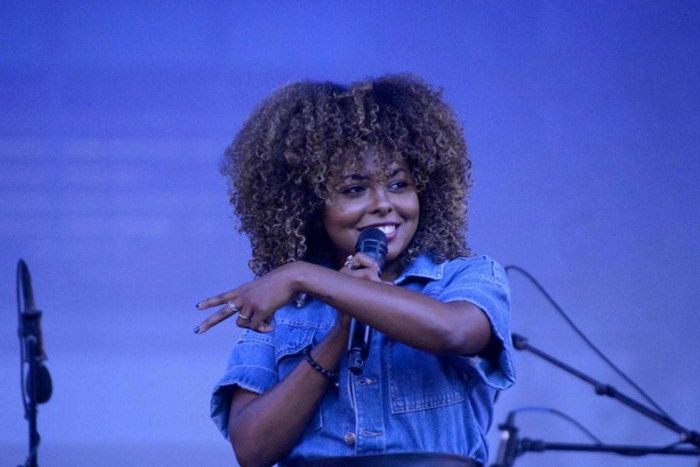 Photos: Adrienne Warren and Friends Perform as Part of Bryant Park's Picnic Performances  Image