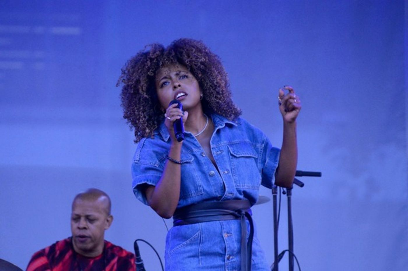 Photos: Adrienne Warren and Friends Perform as Part of Bryant Park's Picnic Performances  Image