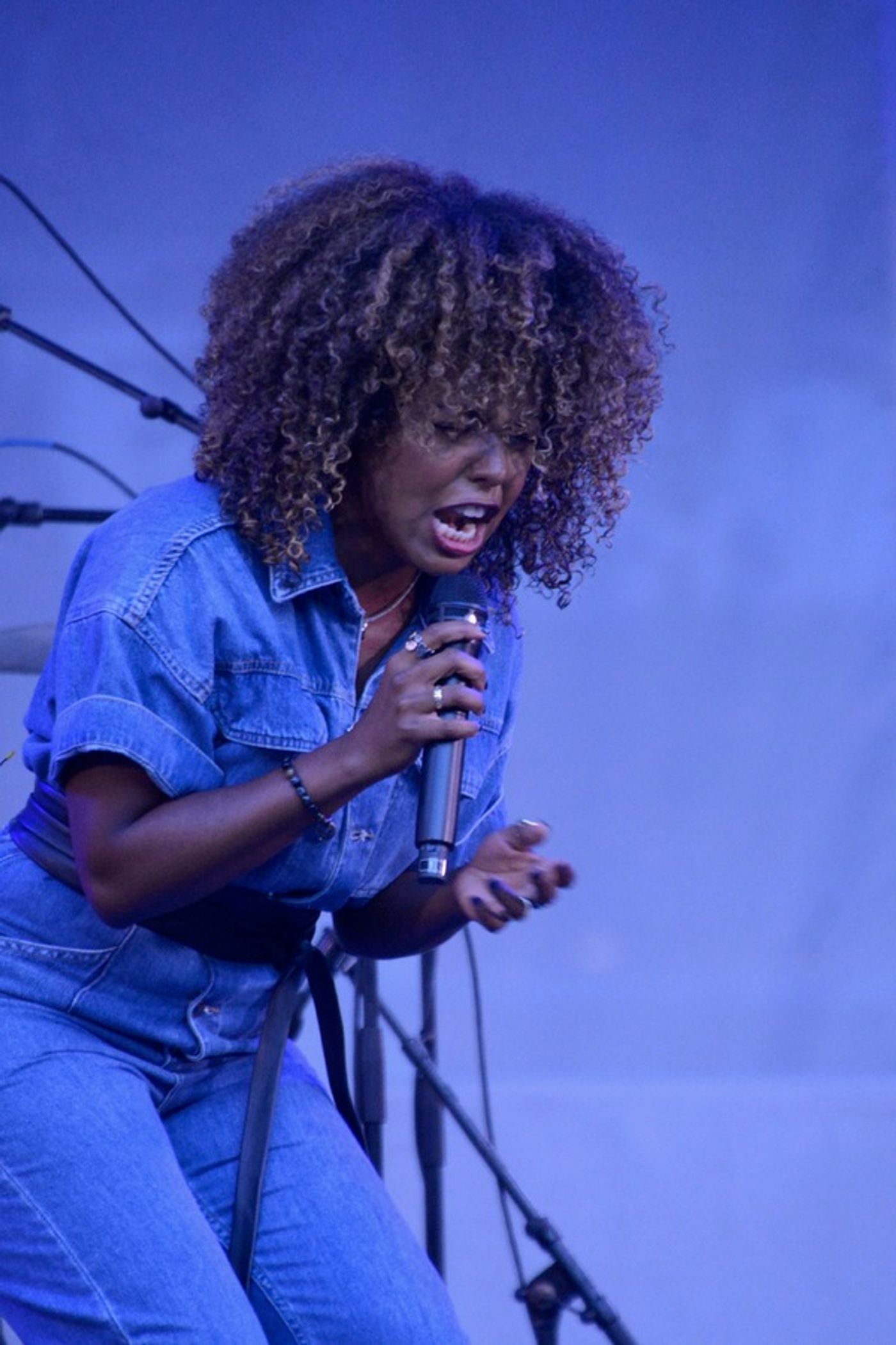 Photos: Adrienne Warren and Friends Perform as Part of Bryant Park's Picnic Performances  Image