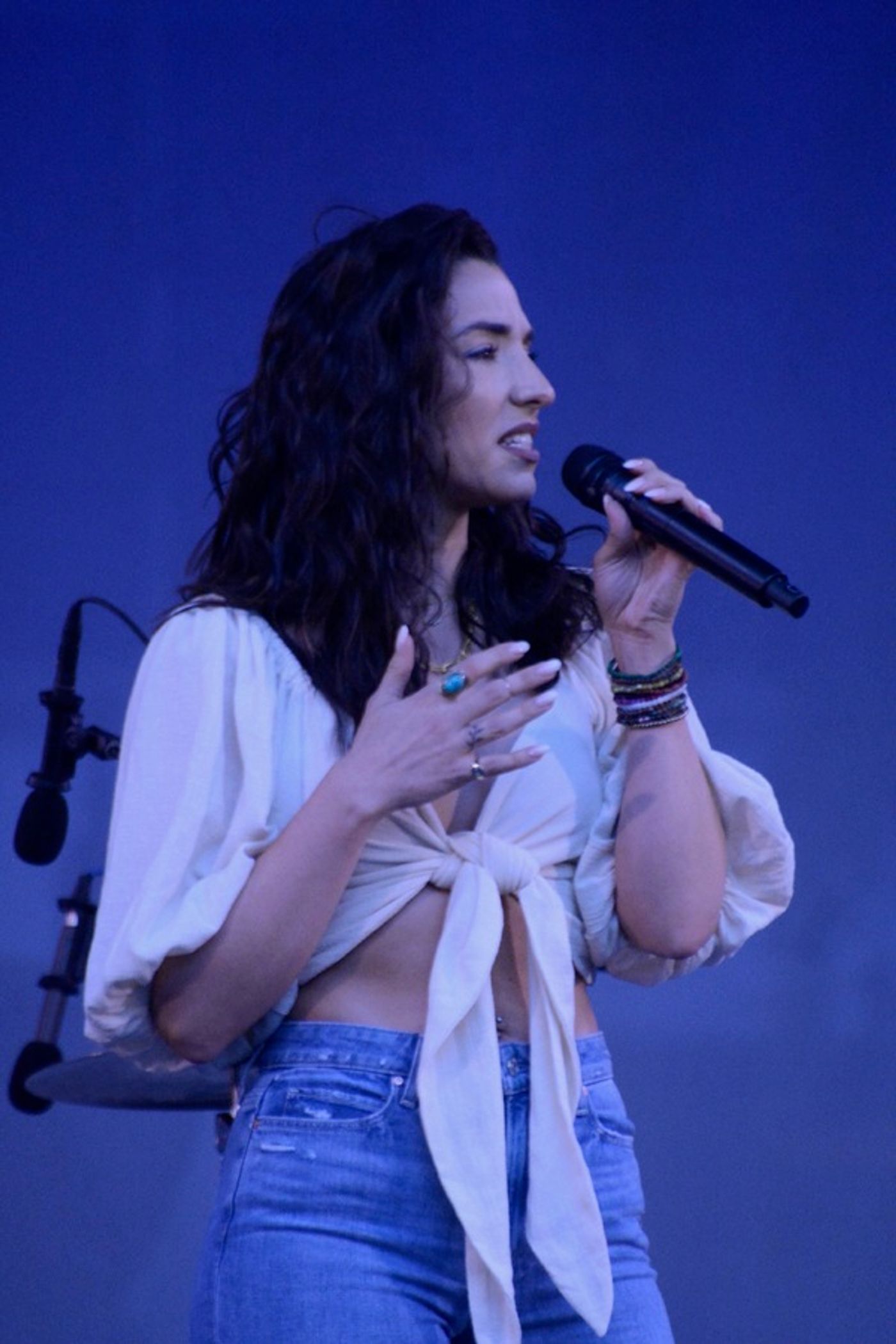Photos: Adrienne Warren and Friends Perform as Part of Bryant Park's Picnic Performances  Image