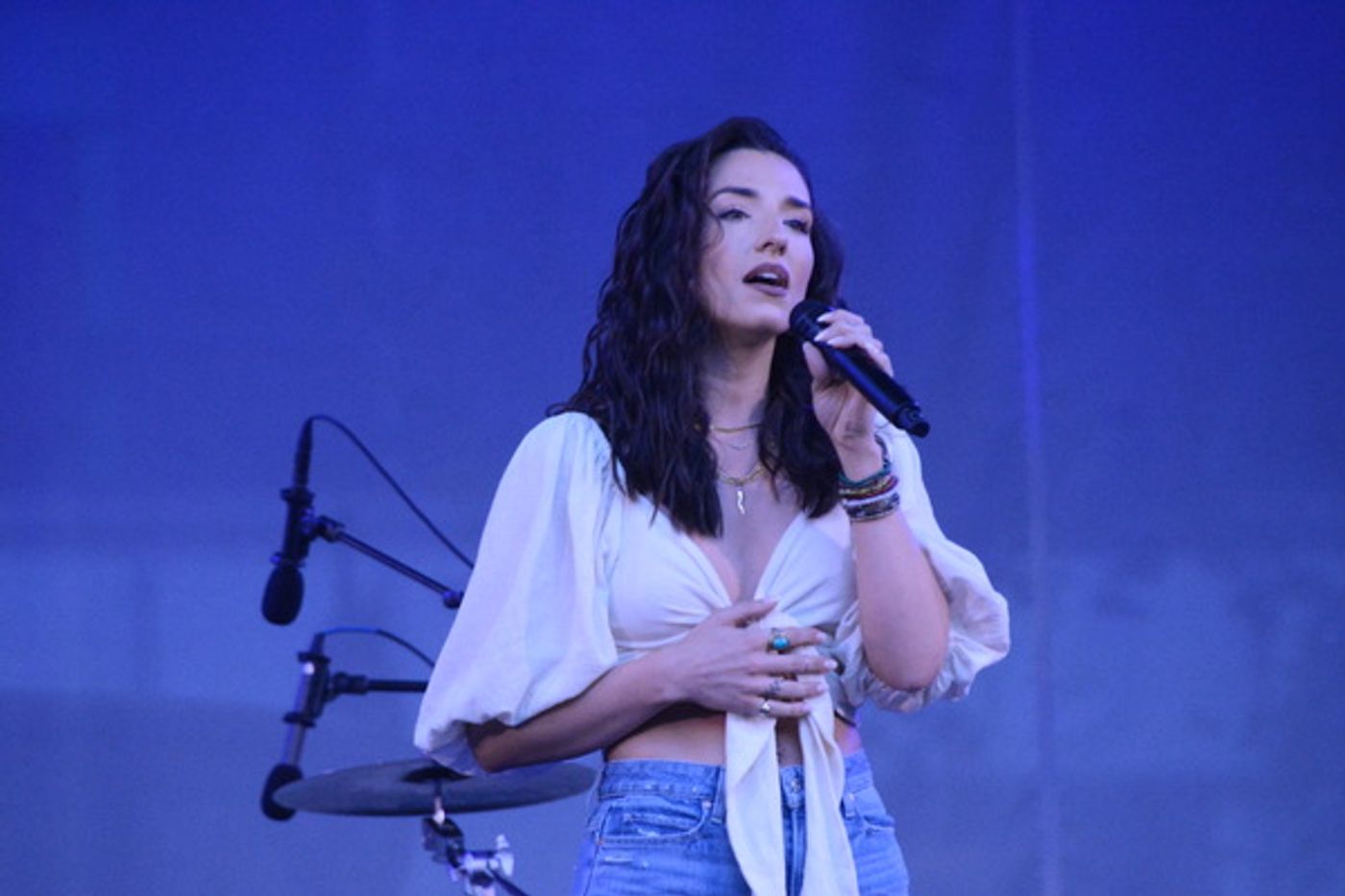 Photos: Adrienne Warren and Friends Perform as Part of Bryant Park's Picnic Performances  Image
