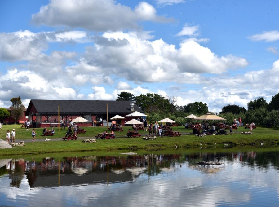 Visit TWIN STAR ORCHARDS in New Paltz-The Home of Brooklyn Cider House  Image