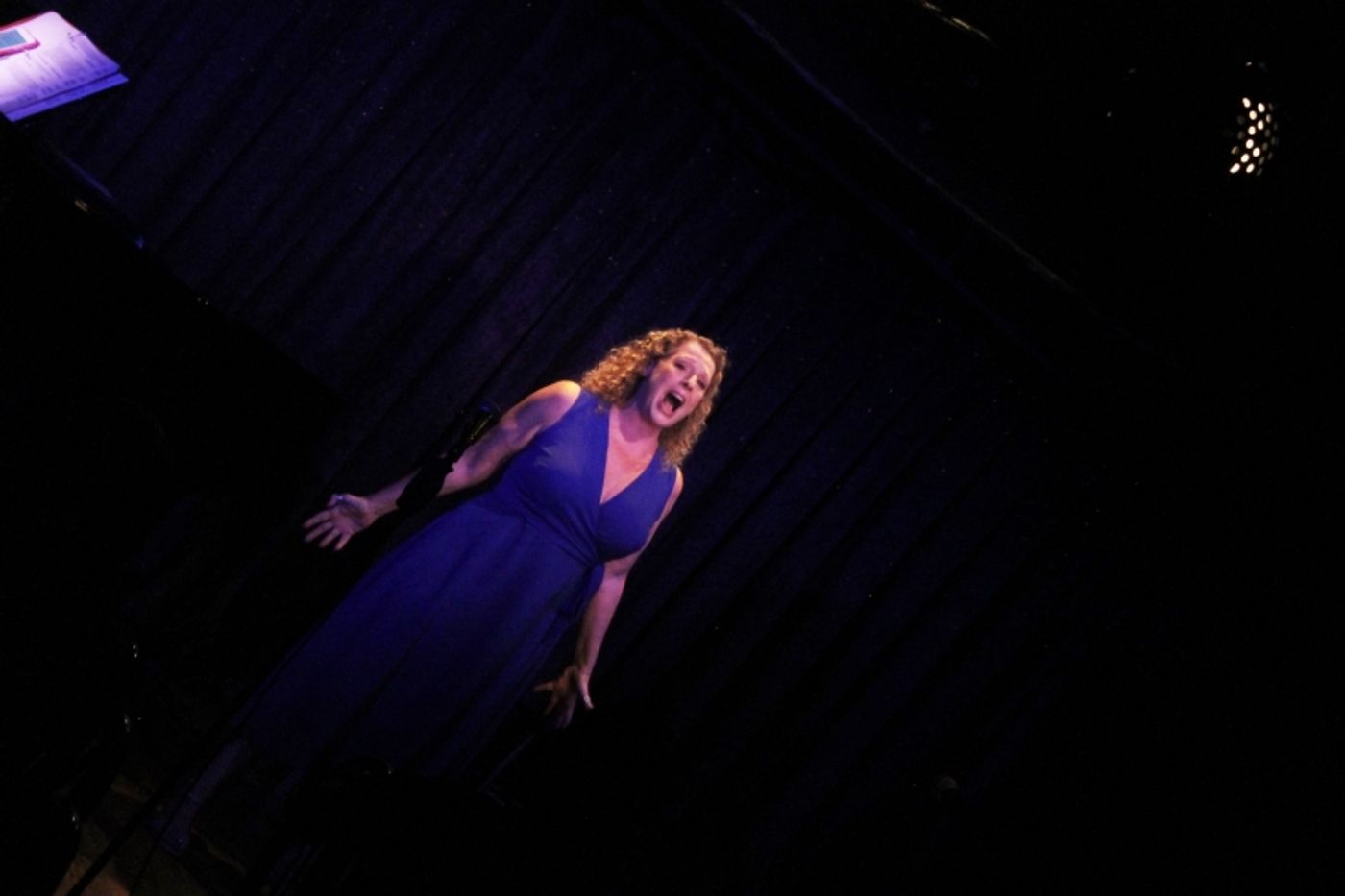 Review: RICKY RITZEL'S BROADWAY Has Staying Power at Don't Tell Mama  Image