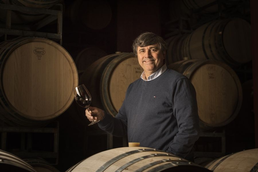 Experience Unánime Wines from the Mascota Vineyards of Argentina Image