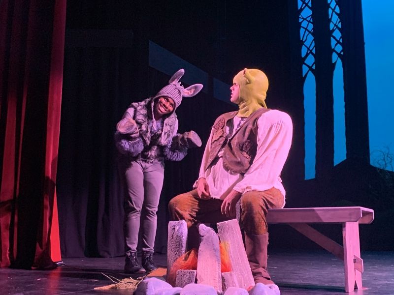 Review: MSMT's Joyous SHREK, JR. Celebrates Difference and Diversity  Image