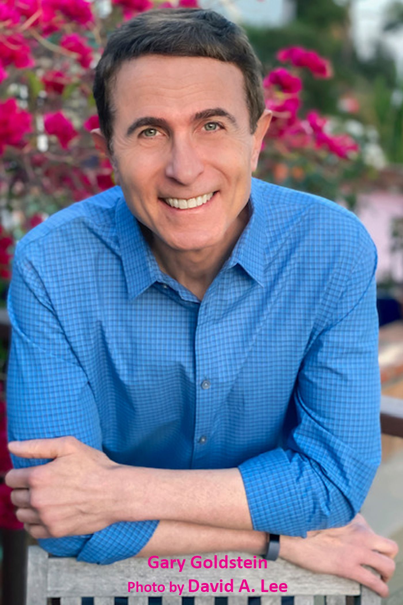 Interview: Multi-Medium Writer Gary Goldstein, Now Published Novelist Interview: Multi-Medium Writer Gary Goldstein, Now Published Novelist Image