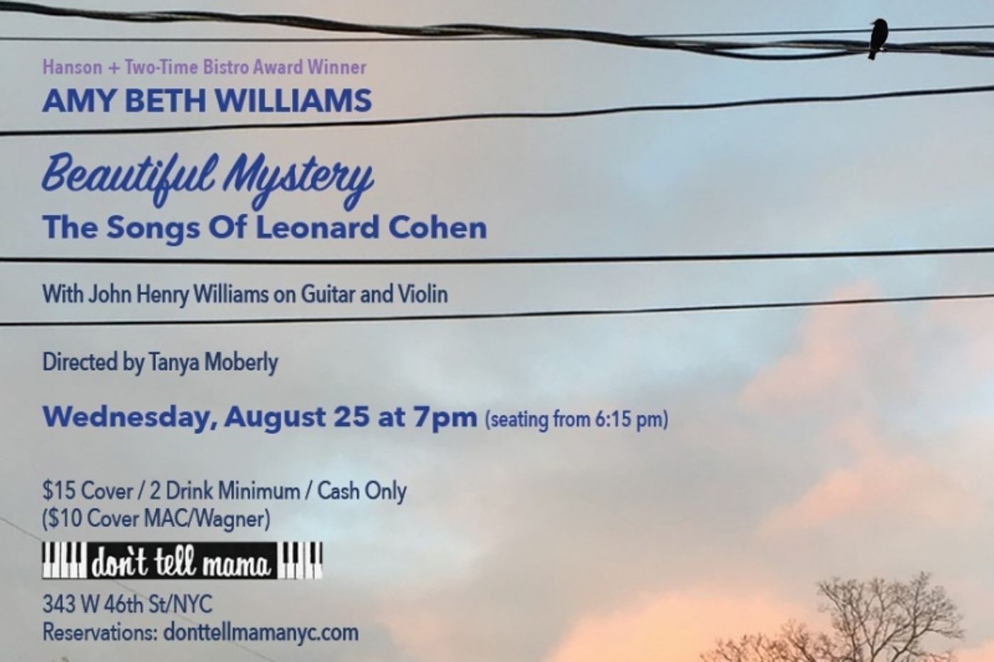 Review: Amy Beth Williams Transcends Her Own Simplicity To Deliver A BEAUTIFUL MYSTERY At Don't Tell Mama  Image