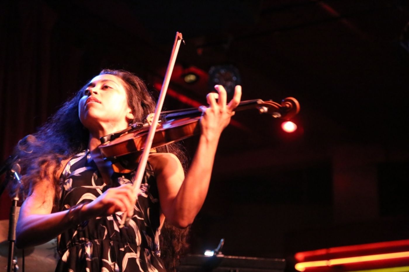 Photo Flash: Gene Reed Shows The August 24th THE LINEUP WITH SUSIE MOSHER In A Broadway World Exclusive Photo Essay  Image