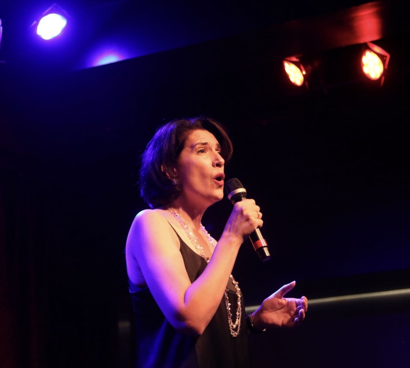 Photo Flash: August 31st THE LINEUP WITH SUSIE MOSHER at Birdland Theater Showcased by Gene Reed AND Stewart Green Photo Flash: August 31st THE LINEUP WITH SUSIE MOSHER at Birdland Theater Showcased by Gene Reed AND Stewart Green Image