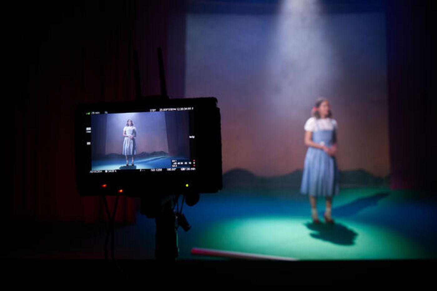 Photos: Behind the Scenes of the World Premiere of  GOING THE DISTANCE  Image