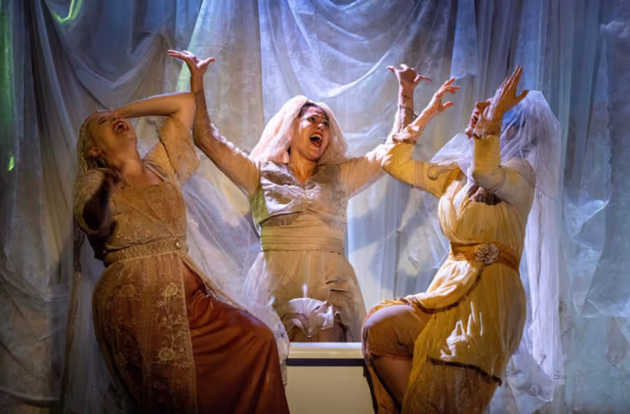 Review: THE DROWNING GIRLS at OnStage Playhouse Image