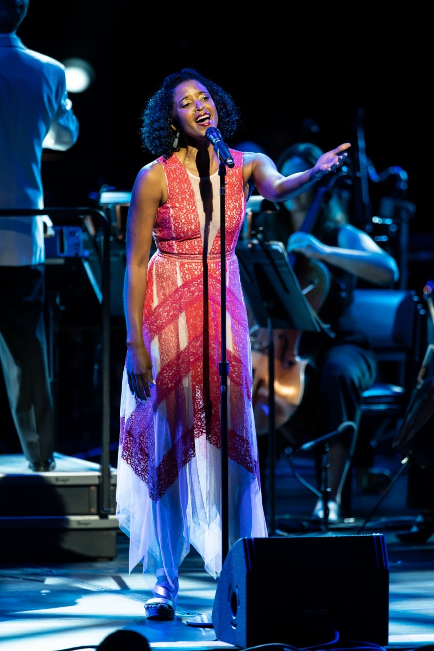 Review: BROADWAY IN THE PARK at Wolf Trap  Image