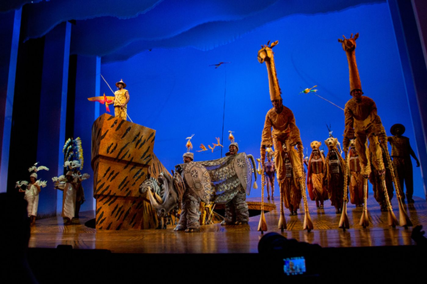 Photos: Go Inside the Curtain Call for THE LION KING's Return to Broadway  Image