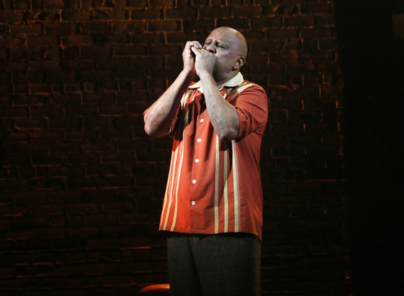 Photos: Manhattan Theatre Club Celebrates Re-Opening with First Preview of LACKAWANNA BLUES  Image