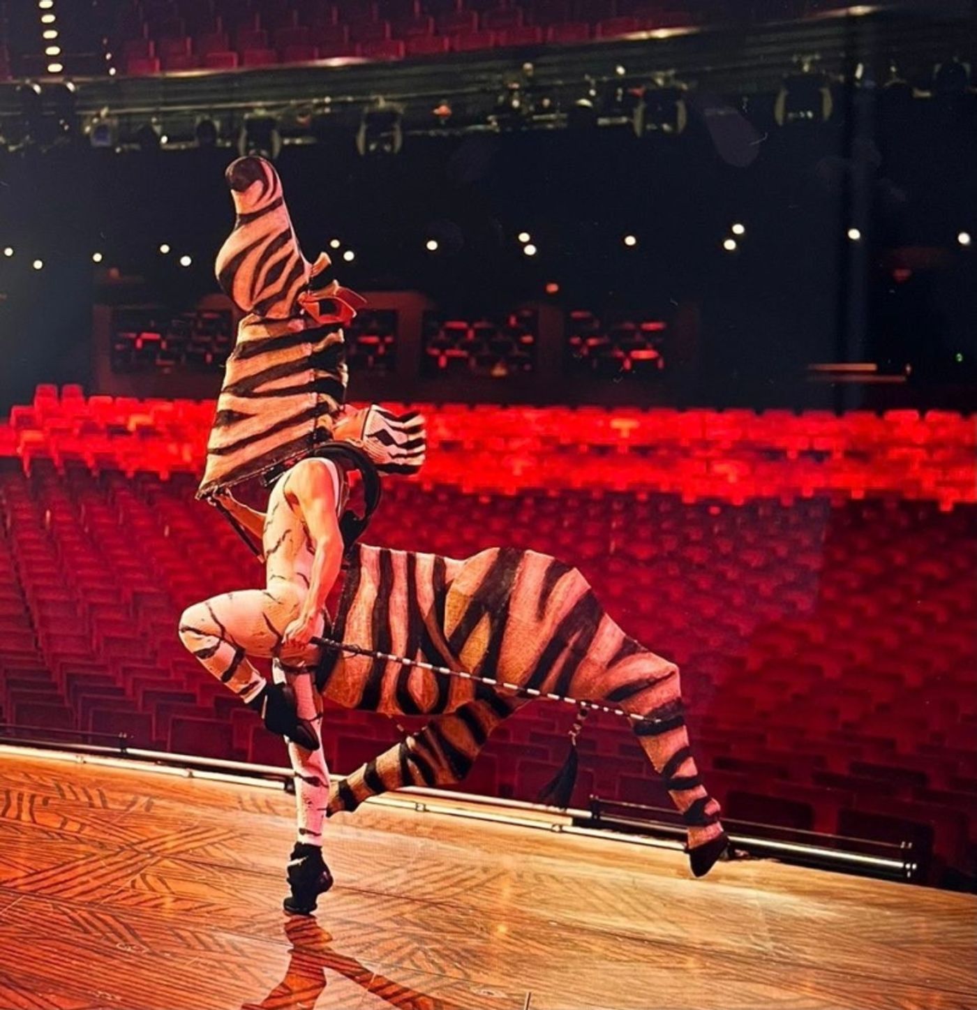 BWW Spain Instagram TakeOver con Gustavo Nuñez (EL REY LEÓN) BWW Spain Instagram TakeOver con Gustavo Nuñez (EL REY LEÓN) Image