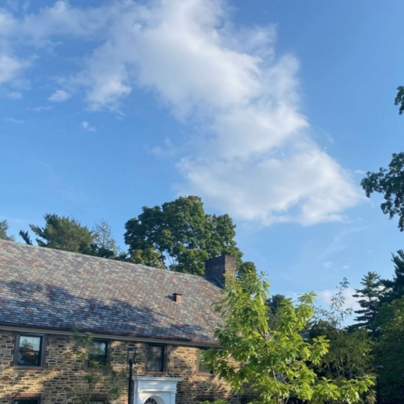 Student Blogs This Week - Performing Arts Degrees, Back to the Rehearsal Room, and More!  Image