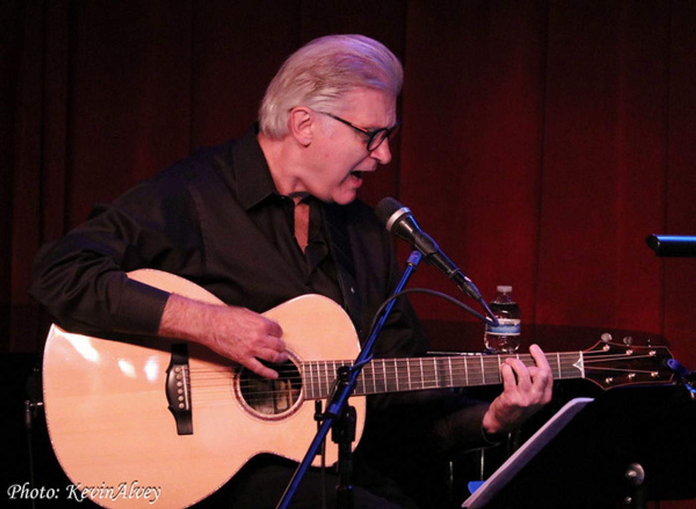 Photos: Carole J. Bufford Returns to the Birdland Stage with POETS AND PICKERS Photos: Carole J. Bufford Returns to the Birdland Stage with POETS AND PICKERS Image