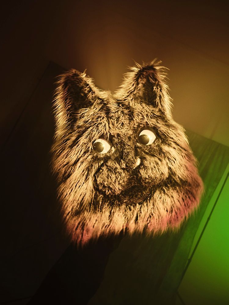 Interview: Katt Osborne of UNHEIMLICH at PICA  Image