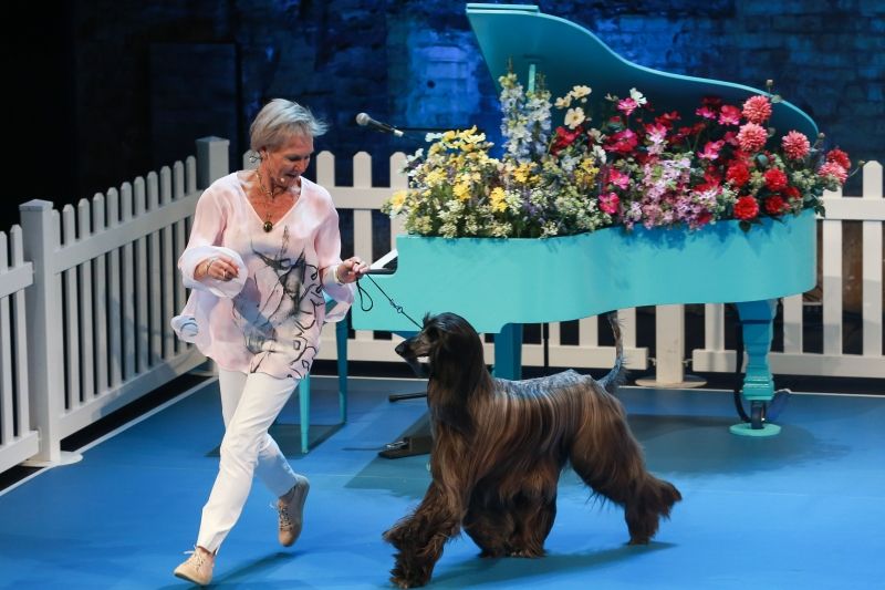 Review: LET'S BE FRIENDS FUREVER at The Good Room Review: LET'S BE FRIENDS FUREVER at The Good Room Image