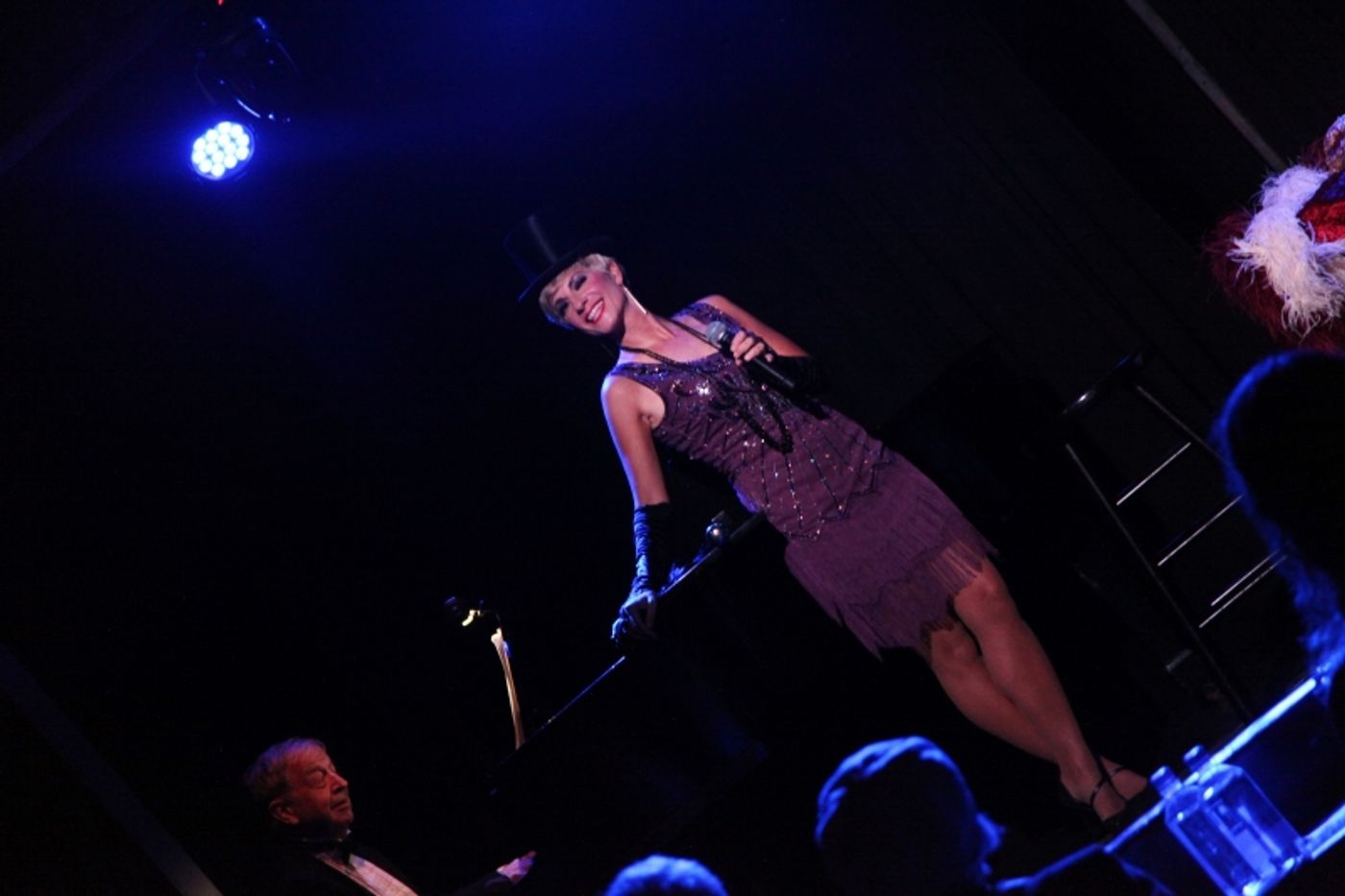 Review: Adrienne Haan Lives Comfortably BETWEEN FIRE AND ICE at The Triad Review: Adrienne Haan Lives Comfortably BETWEEN FIRE AND ICE at The Triad Image