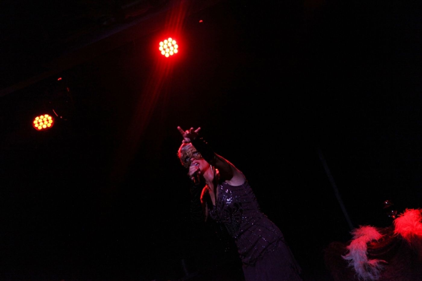 Review: Adrienne Haan Lives Comfortably BETWEEN FIRE AND ICE at The Triad Review: Adrienne Haan Lives Comfortably BETWEEN FIRE AND ICE at The Triad Image