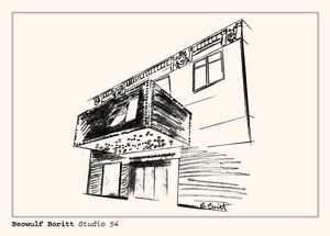 Beowulf Boritt - Studio 54 Photo