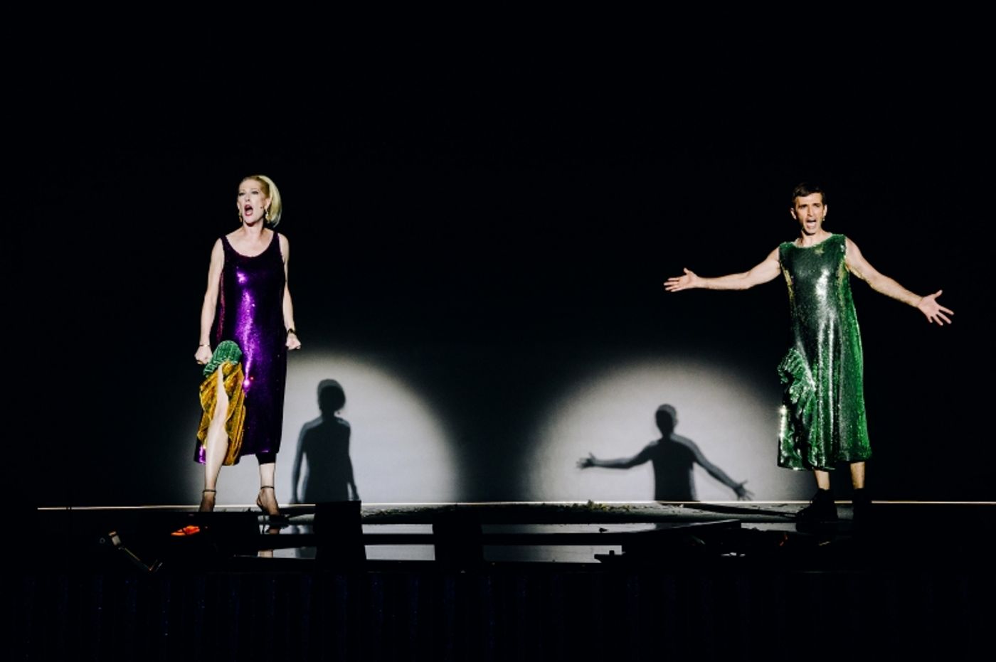 Review: ONLY AN OCTAVE APART at St. Ann's Warehouse  Image