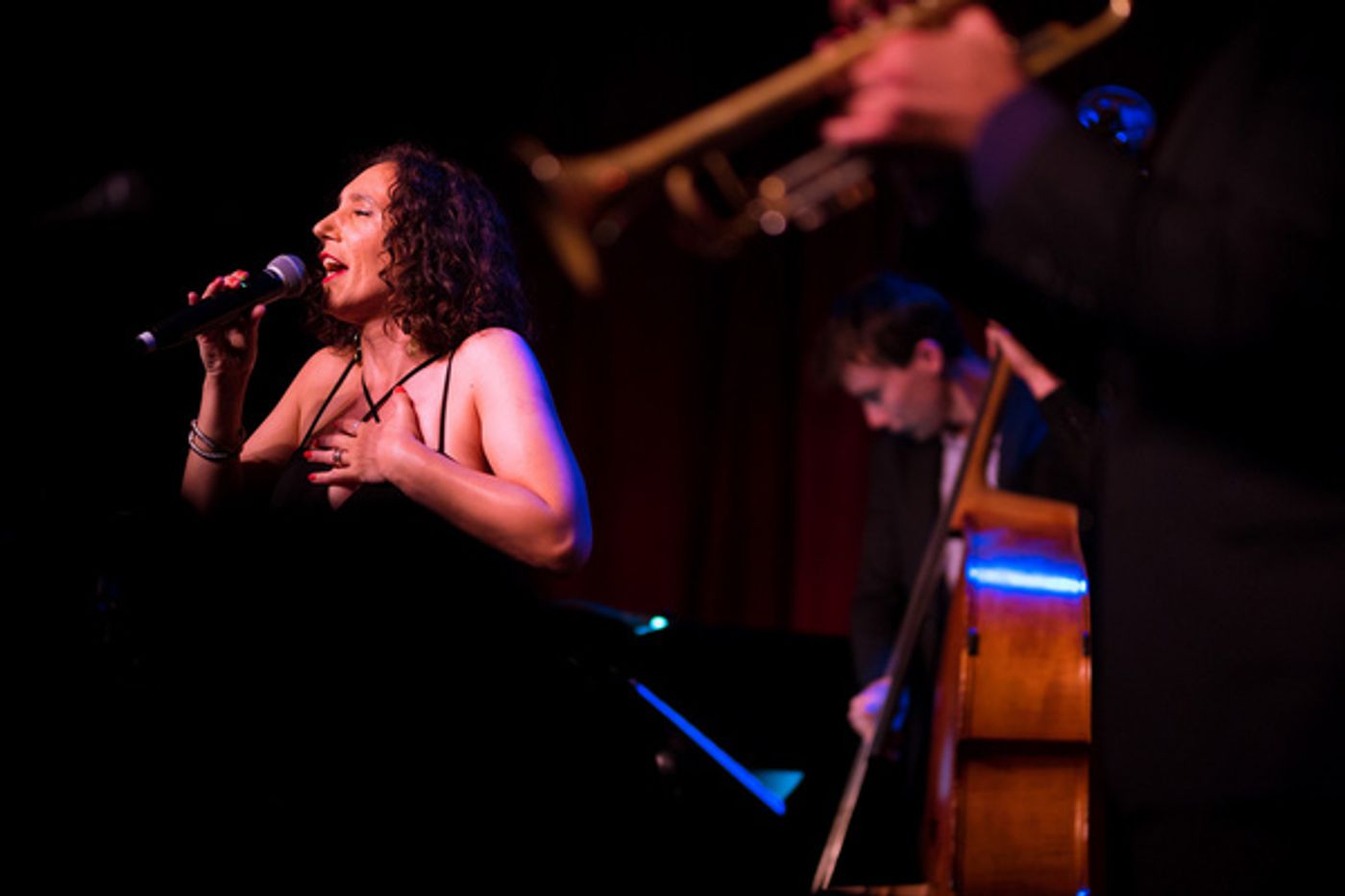 Photos: Clint Holmes Returns To Birdland  Image